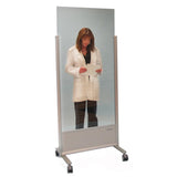 Clear-Lead™ Mobile X-Ray Barriers