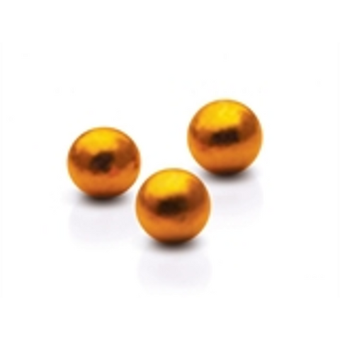 Bone Fiducial Markers