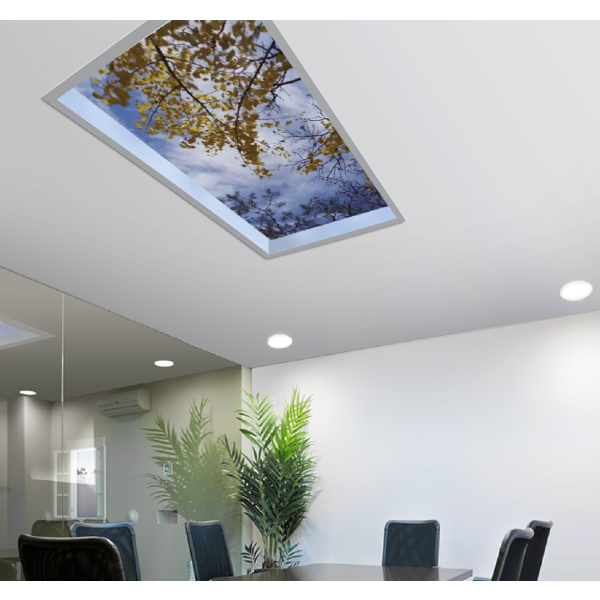 Sky Factory - Skyview - Digital Cinema Skylights