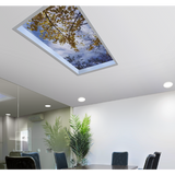 Sky Factory - Skyview - Digital Cinema Skylights