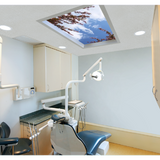 Sky Factory - Skyview - Digital Cinema Skylights