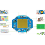 Online Treatment Monitoring: Dolphin