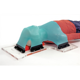 Posicast® 3 & 5-Point Masks, Pediatric, Posifix®