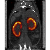X-CUBE high-throughput micro-CT