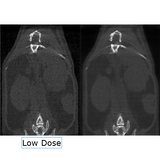 X-CUBE high-throughput micro-CT