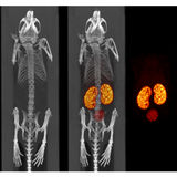 X-CUBE high-throughput micro-CT