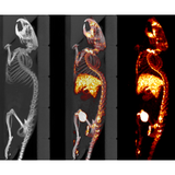X-CUBE high-throughput micro-CT