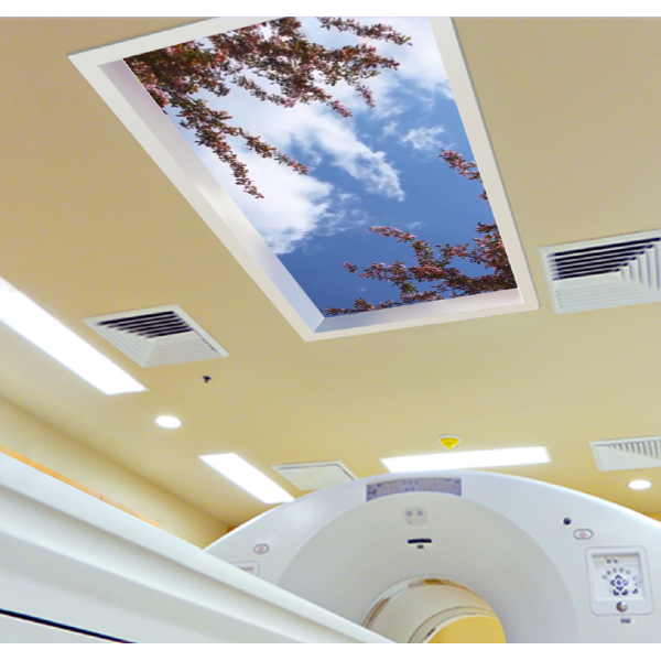 Sky Factory - Skyview - Digital Cinema Skylights