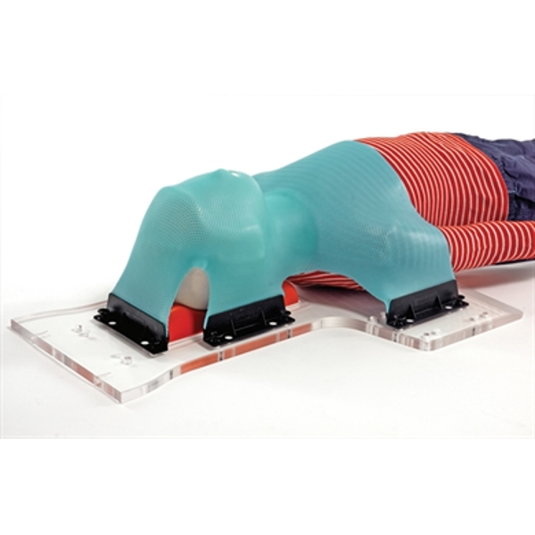 Posicast® 3 & 5-Point Masks, Pediatric, Posifix®
