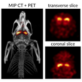 β-CUBE high-performance preclinical PET imager