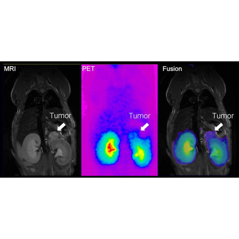 Sequential PET/MR – Gamma Gurus