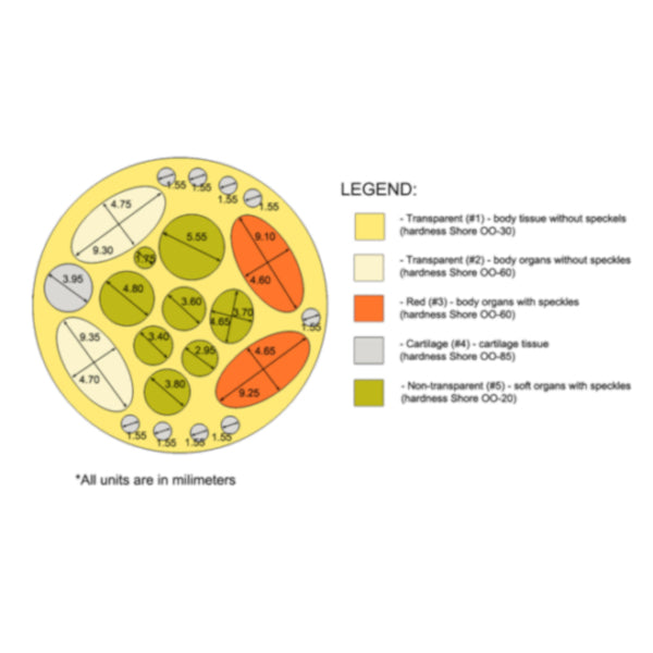 Cylindrical Rat Phantom